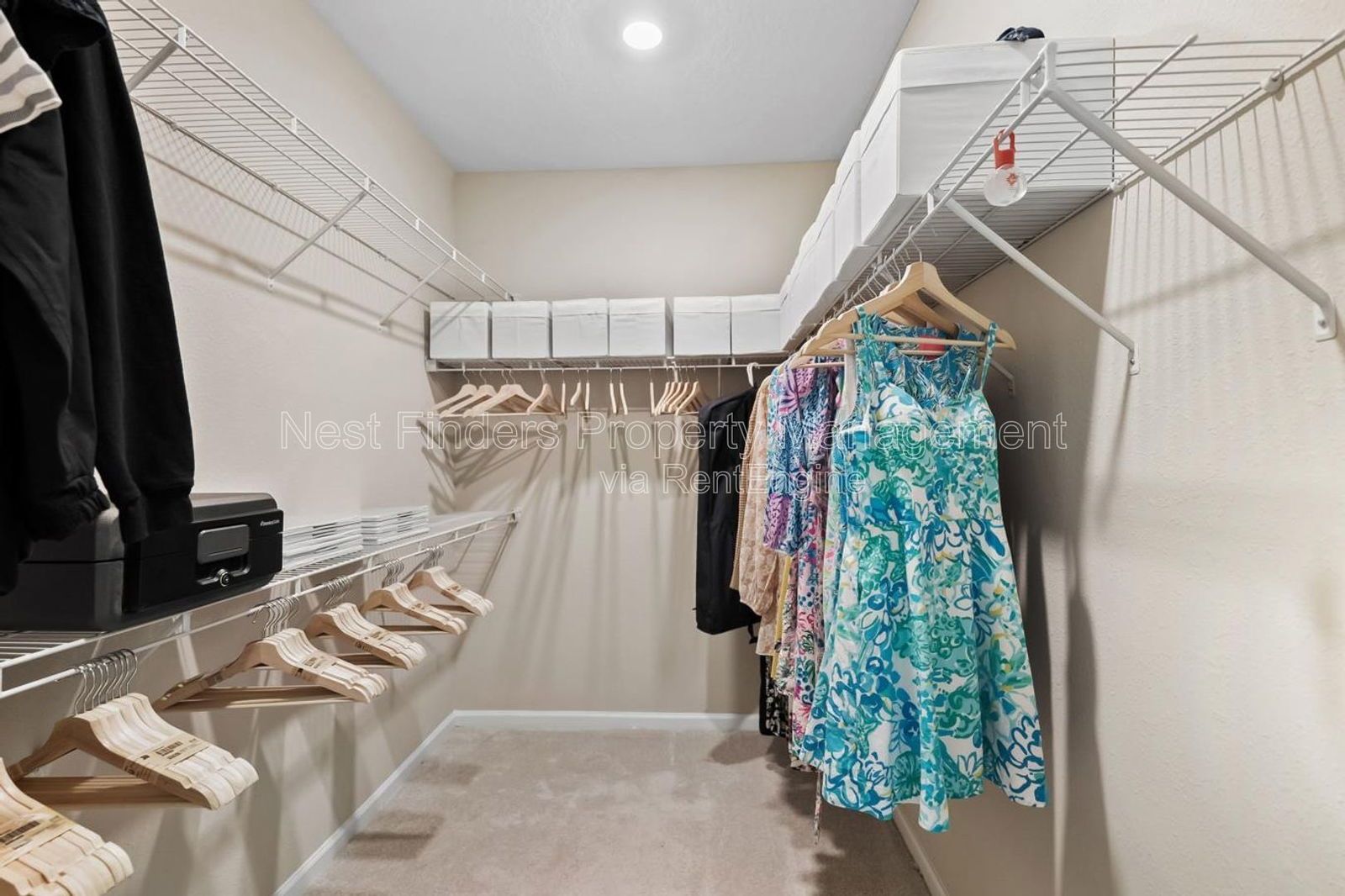 Well-maintained , 2020-built, 3 Bed, 2 Bath home with 1,738 square feet of well-designed space and surrounded by lush wooded areas! property image