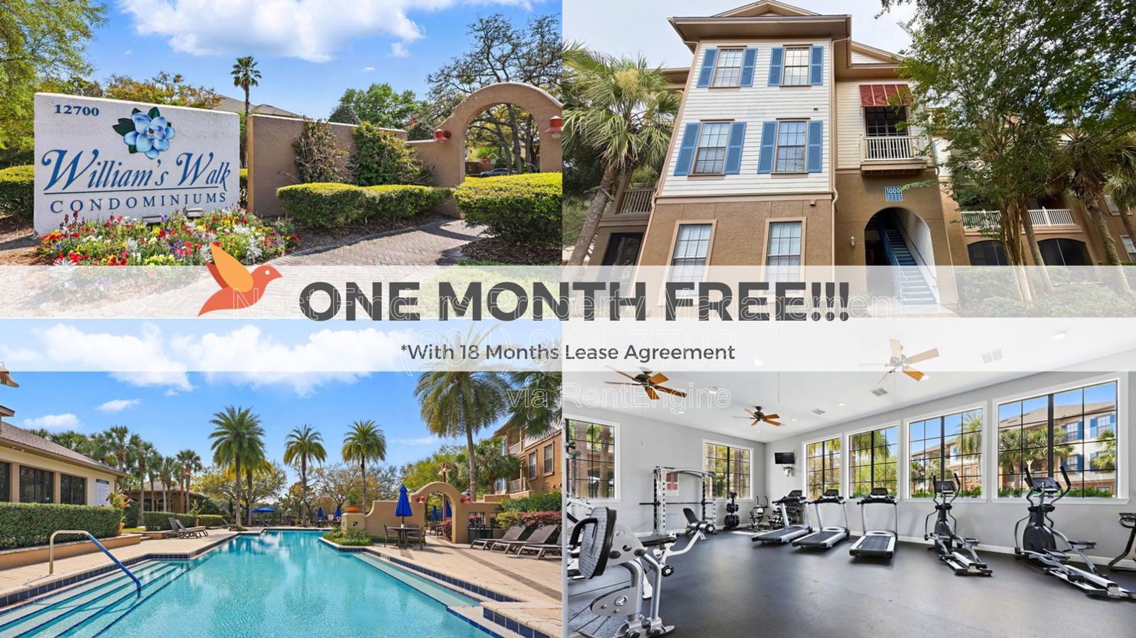 Beautiful 2 bedroom condo for rent in Williams Walk at Bartram Park! property image