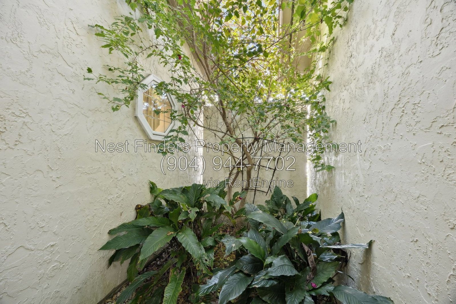 Beautiful home for rent in the desirable guard-gated Villages of San Jose! property image